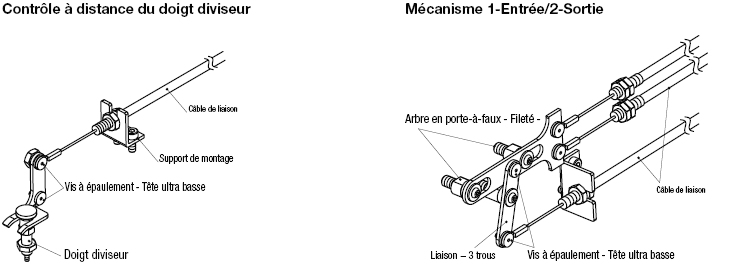 Câbles de liaison:Affichage d'image associés