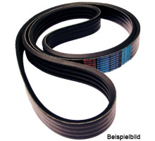 Power Belt, Pluriband