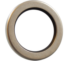 Simmerring, PTFE 10/F56101