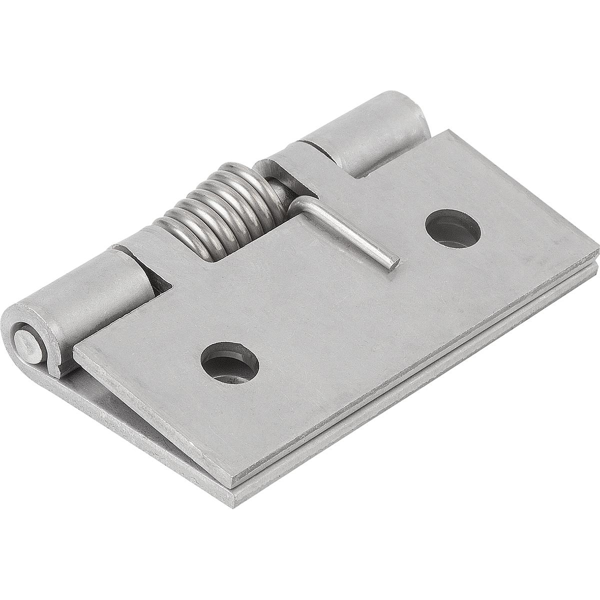 Charnières à ressort en acier, Inox ou aluminium 50 mm, fermeture à ressort (K1173)