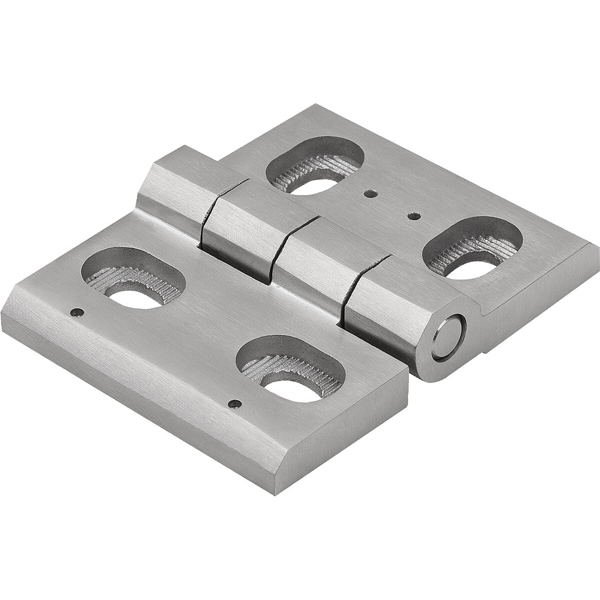 Charnières en inox, ajustables (K1900)